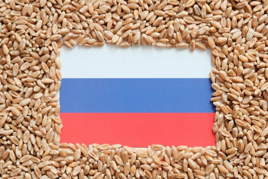 Rezepte für russische Gerichte
